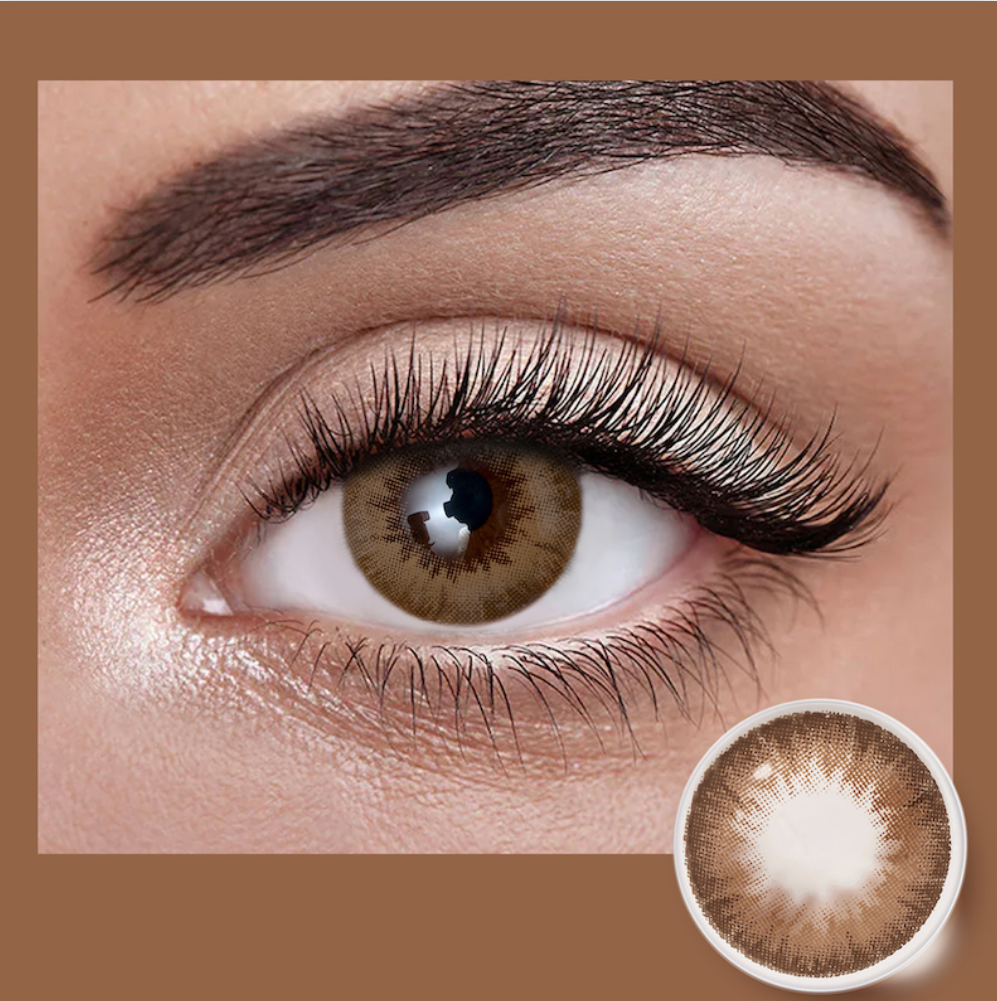 Lentilles Marron | Café Velours