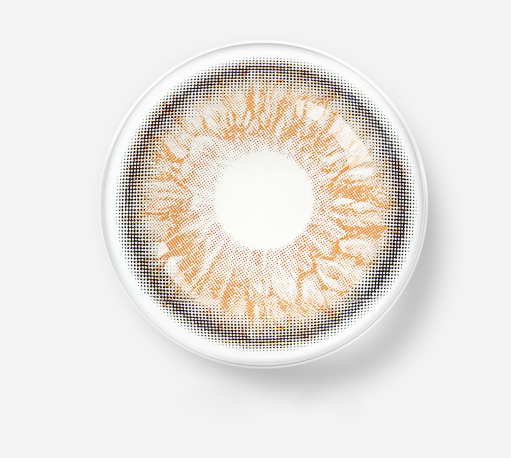 Lentilles Noisette | Rayon d’Or