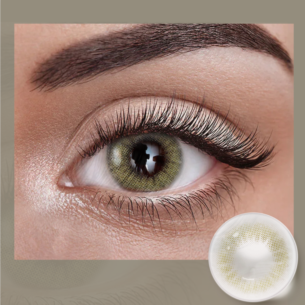 Lentilles Vertes | Orée Verte